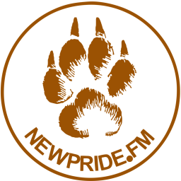 Логотип NewPride.fm